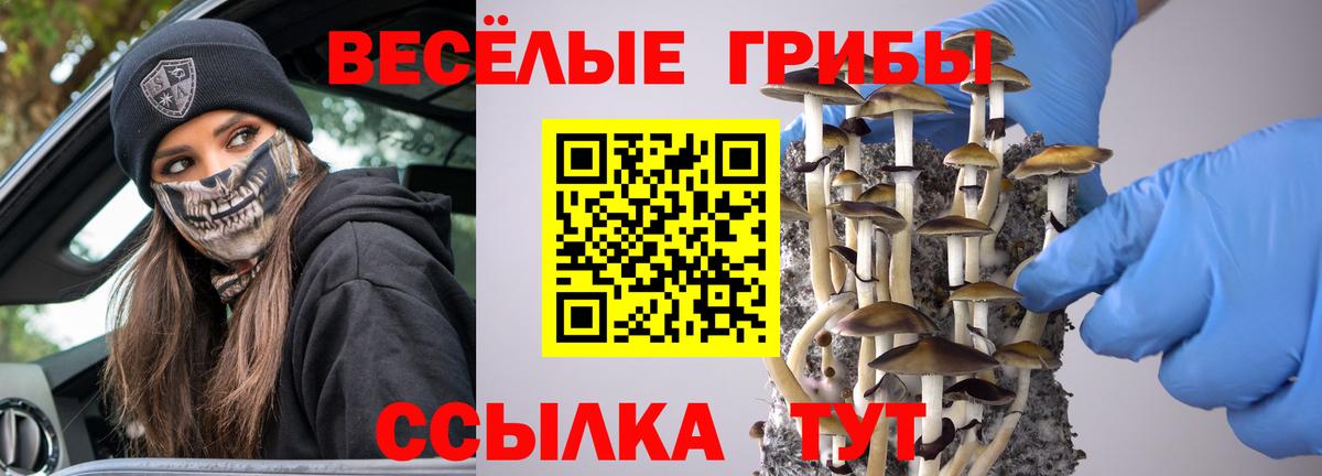 Псилоцибиновые грибы мицелий  наркошоп  Новочебоксарск  Вход с VPN 