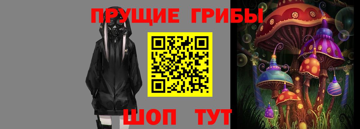 Псилоцибиновые грибы мицелий Новочебоксарск